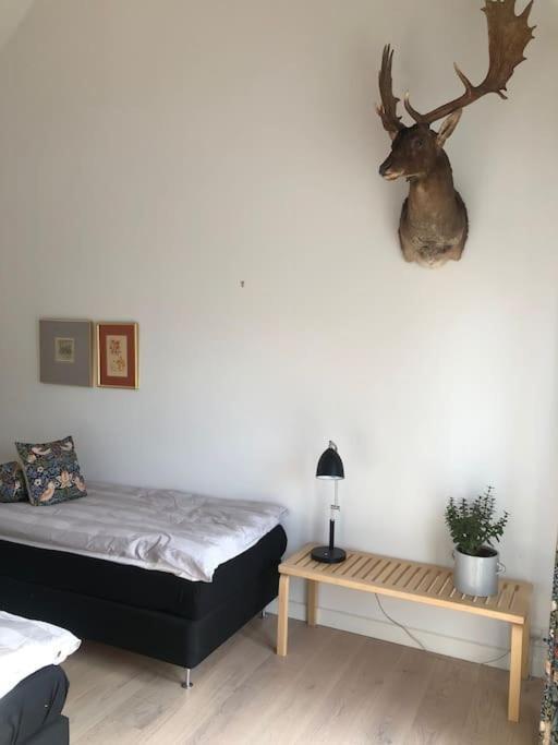 Cozy, Quiet Guest House Perfect For Business Or Pleasure Hillerød Exteriér fotografie