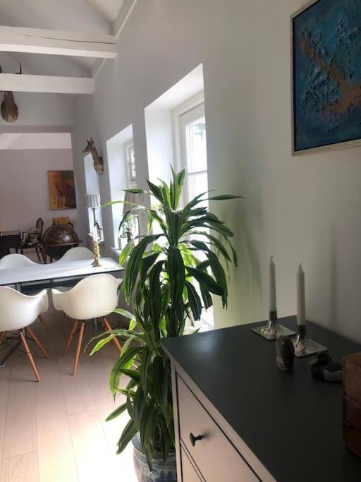 Cozy, Quiet Guest House Perfect For Business Or Pleasure Hillerød Exteriér fotografie