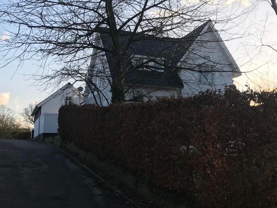 Cozy, Quiet Guest House Perfect For Business Or Pleasure Hillerød Exteriér fotografie