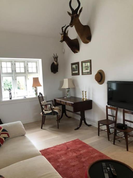 Cozy, Quiet Guest House Perfect For Business Or Pleasure Hillerød Exteriér fotografie
